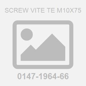 Screw Vite TE M10X75